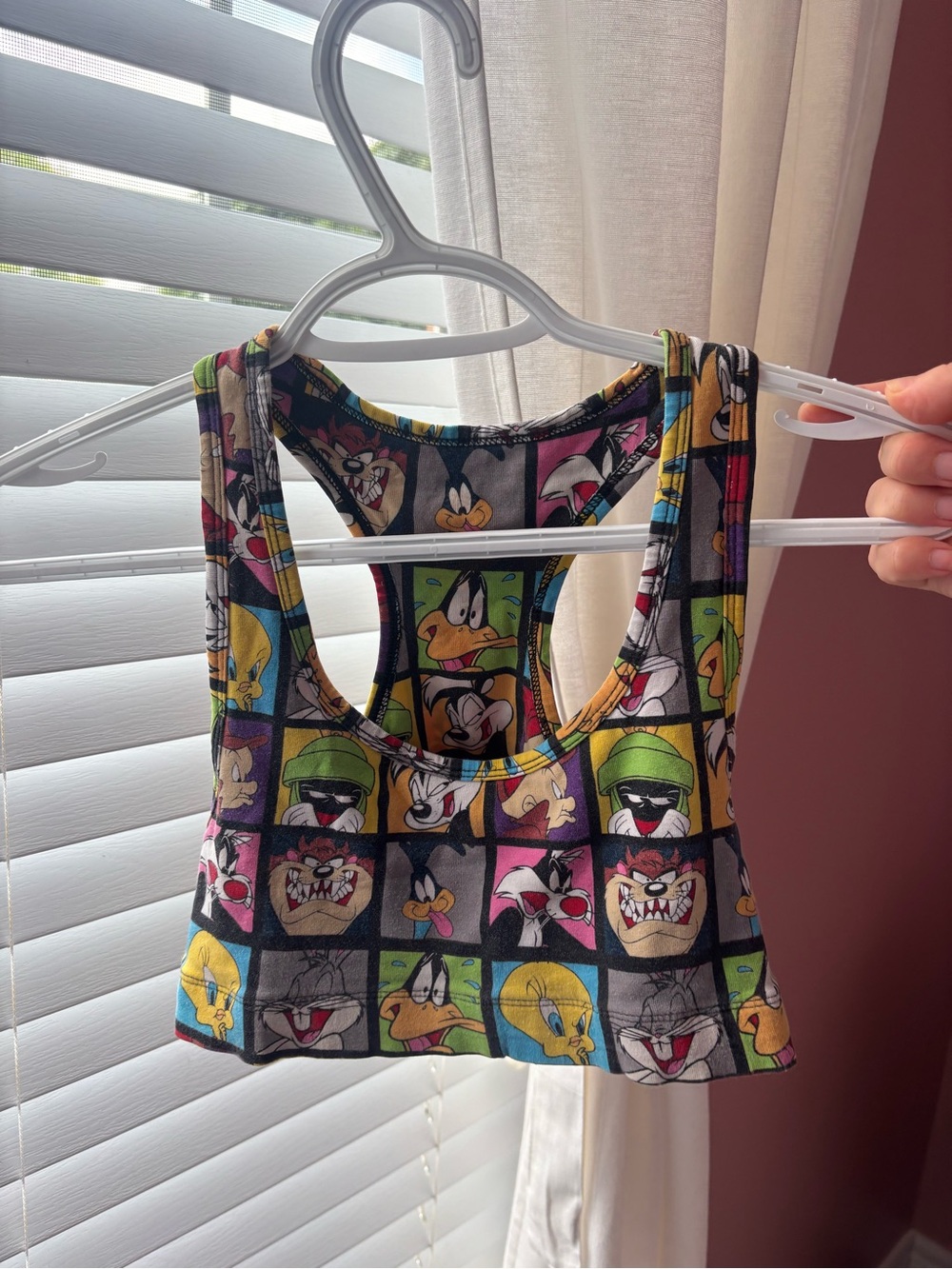 Warner Bros. Multicolor Cartoon Grid Racerback Crop Top